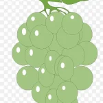 卡通葡萄卡通素材 透明背景PNG