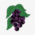 卡通葡萄卡通素材 透明背景PNG