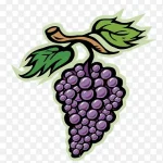 卡通葡萄卡通素材 透明背景PNG