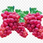 卡通葡萄 PNG素材下载