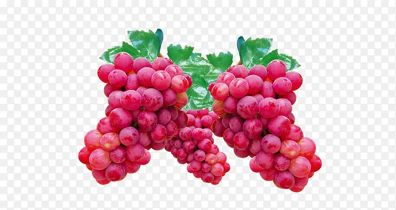 1762126310-c5b6ade4041140b