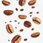 咖啡豆主题插画 高清PNG