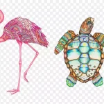 热带动物插画 透明背景PNG