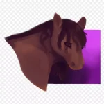 马头插画 高清PNG