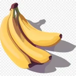 香蕉插画 高清PNG