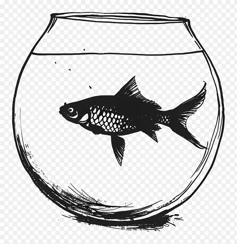 鱼缸插画
