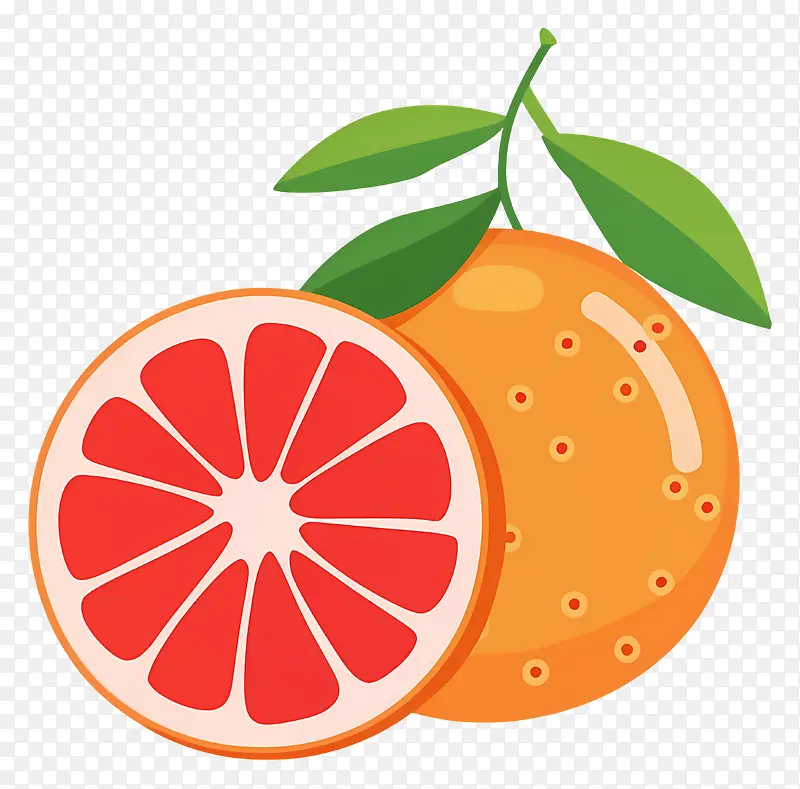 橙子插画