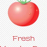 新鲜番茄插画 免费PNG素材