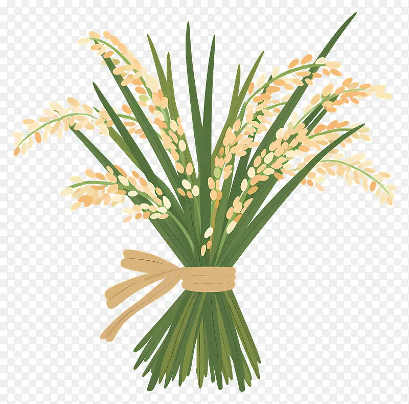 稻穗插画,丰收季插画元素