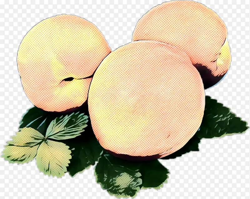 复古风格的桃子插画