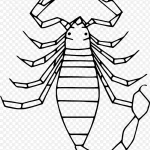 蝎子插画 PNG素材下载