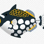 鱼类插画 高清PNG