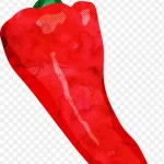 红辣椒插画 PNG素材下载