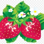 卡通草莓 卡通绿叶 透明背景PNG