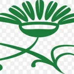 手绘卡通花卡通花卉 透明背景PNG