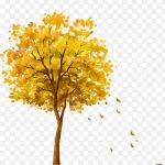 手绘树木 高清PNG
