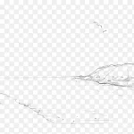 手绘海边 高清PNG