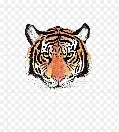 手绘老虎