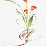 手绘马蹄莲素材 PNG素材下载