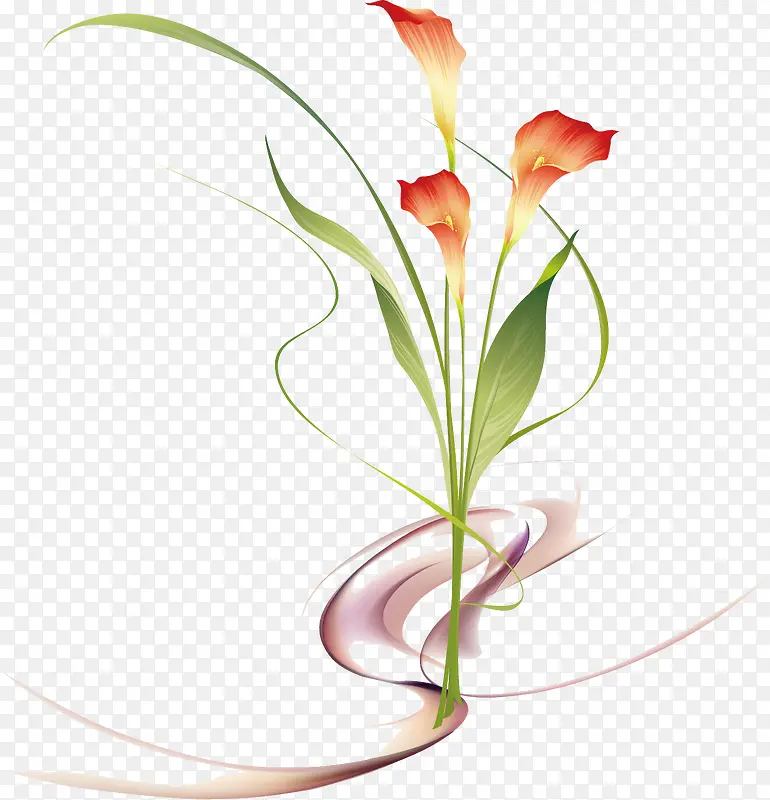 手绘马蹄莲素材