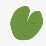 手绘树叶素材 PNG素材下载