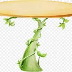 卡通手绘桌子 免费PNG素材