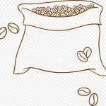 手绘咖啡豆 透明背景PNG