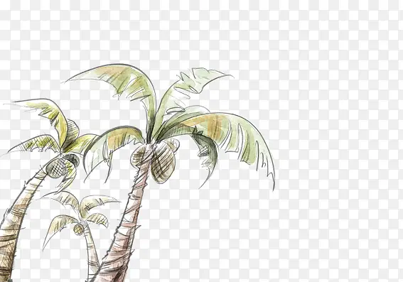 手绘椰子树
