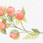 手绘粉色果子png素材 免费PNG素材