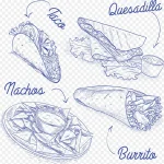 矢量蓝色手绘食物 透明背景PNG