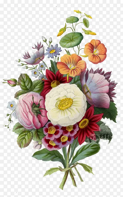 卡通装饰图片卡通装饰素材