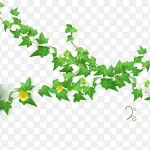 绿色植物装饰素材 高清PNG