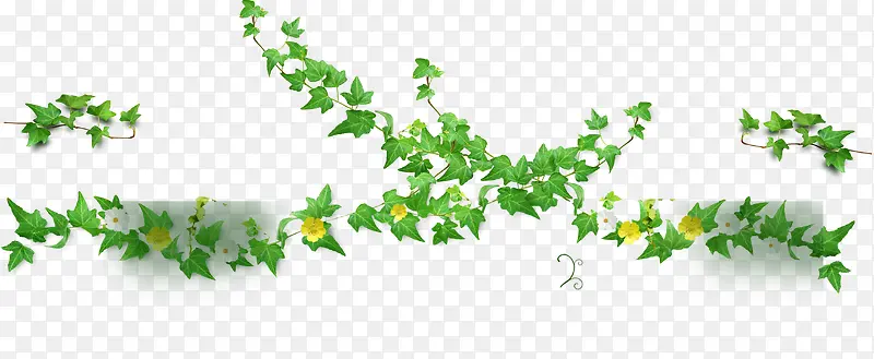 绿色植物装饰素材