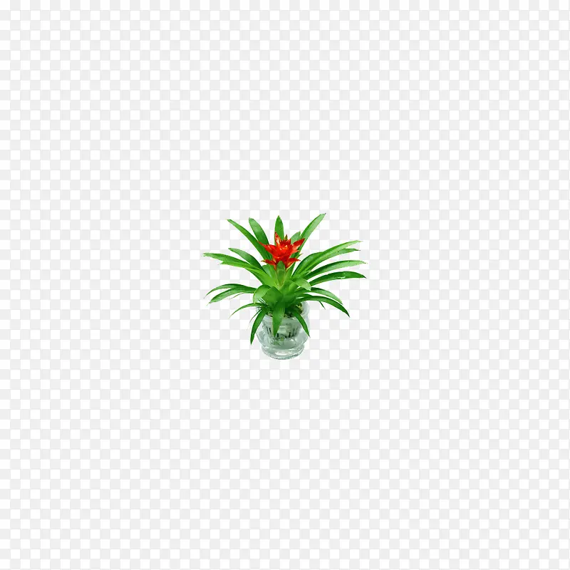 室内装饰  桌面装饰