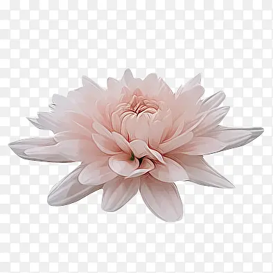 边角装饰图案装饰