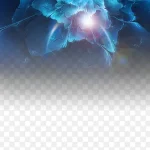 花的背景装饰素材 免费PNG素材