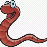 卡通蚯蚓插画 高清PNG