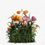 花仙子插画 透明背景PNG