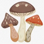 多彩蘑菇插画 免费PNG素材