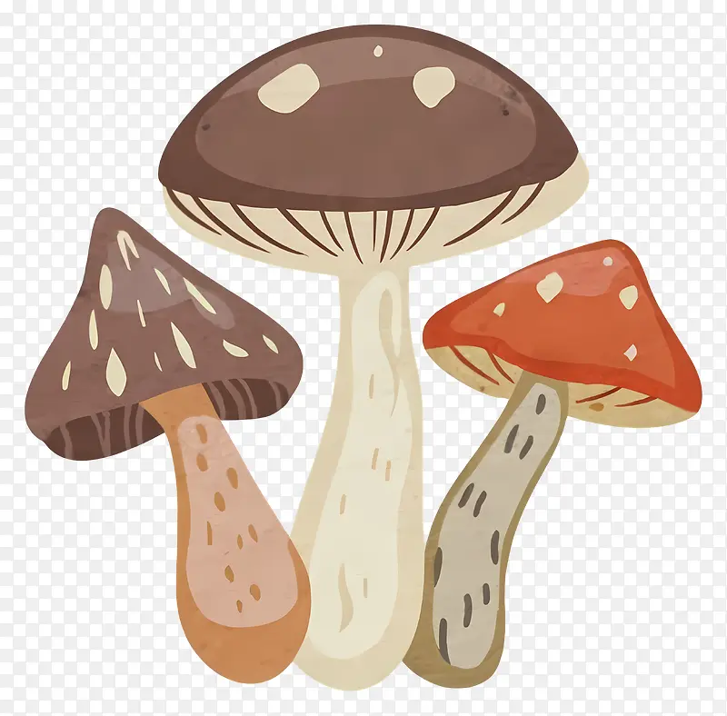 多彩蘑菇插画