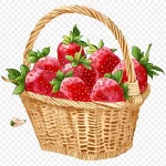 草莓篮子插画 透明背景PNG