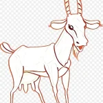 动物插画 免费PNG素材