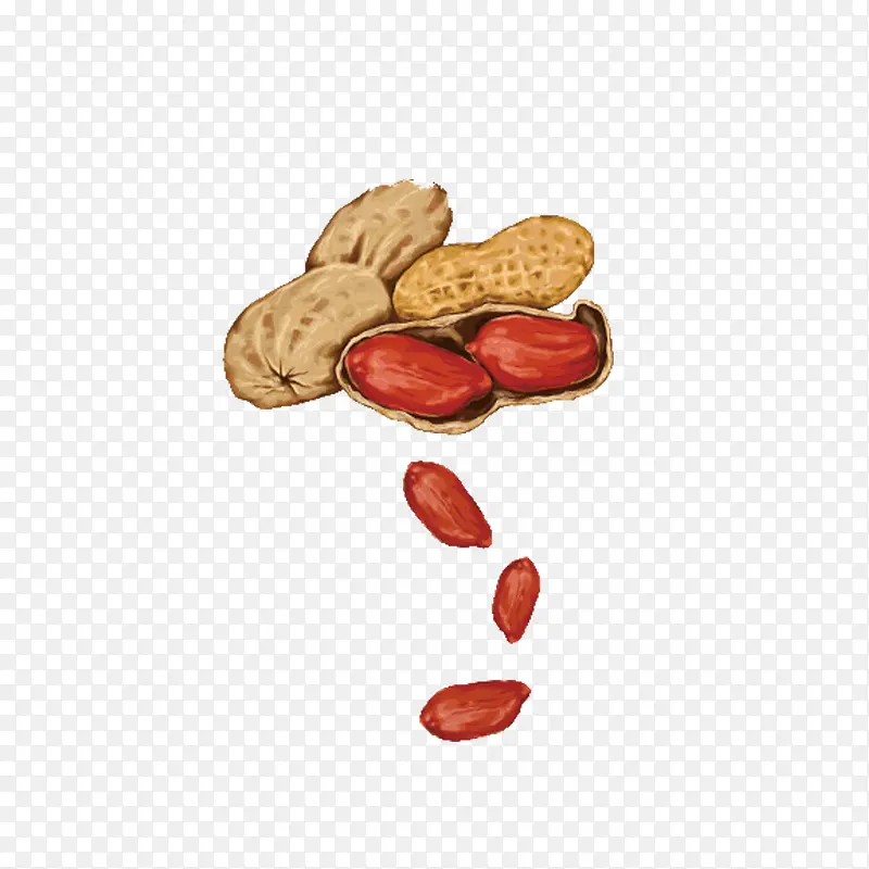 花生手绘免扣素材