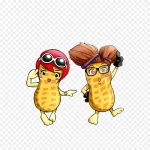 花生手绘免扣素材 免费PNG素材