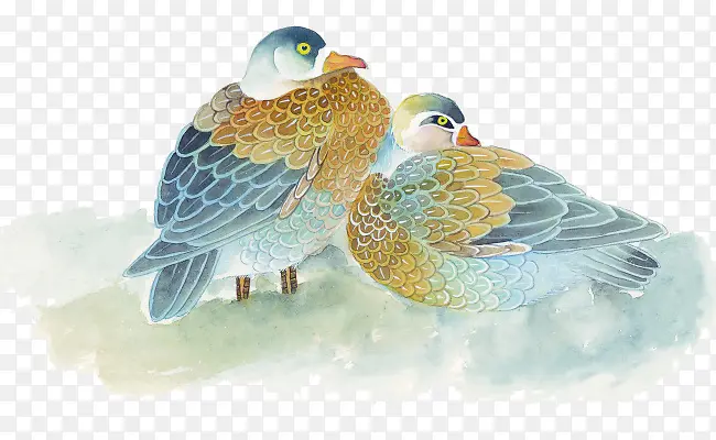 手绘鸳鸯