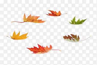 手绘装饰图片装饰