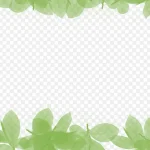 绿色背景装饰素材 PNG素材下载