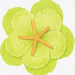 花装饰复古装饰 高清PNG