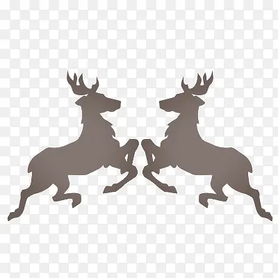 两只鹿