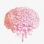 创意菊花设计素材 PNG素材下载